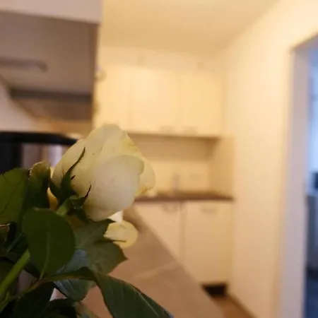 Apartment Wunderschoene Grosse In Aue Aue-Bad Schlema