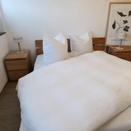 Apartment Wunderschoene Grosse In Aue *