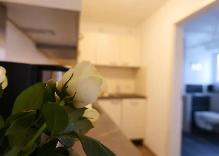 Apartmán Wunderschoene Grosse In Aue Aue-Bad Schlema